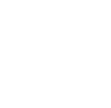 Mentorship from Odoo Industry Experts