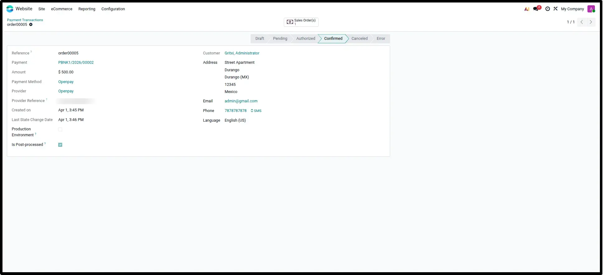 Detailed Transaction Record